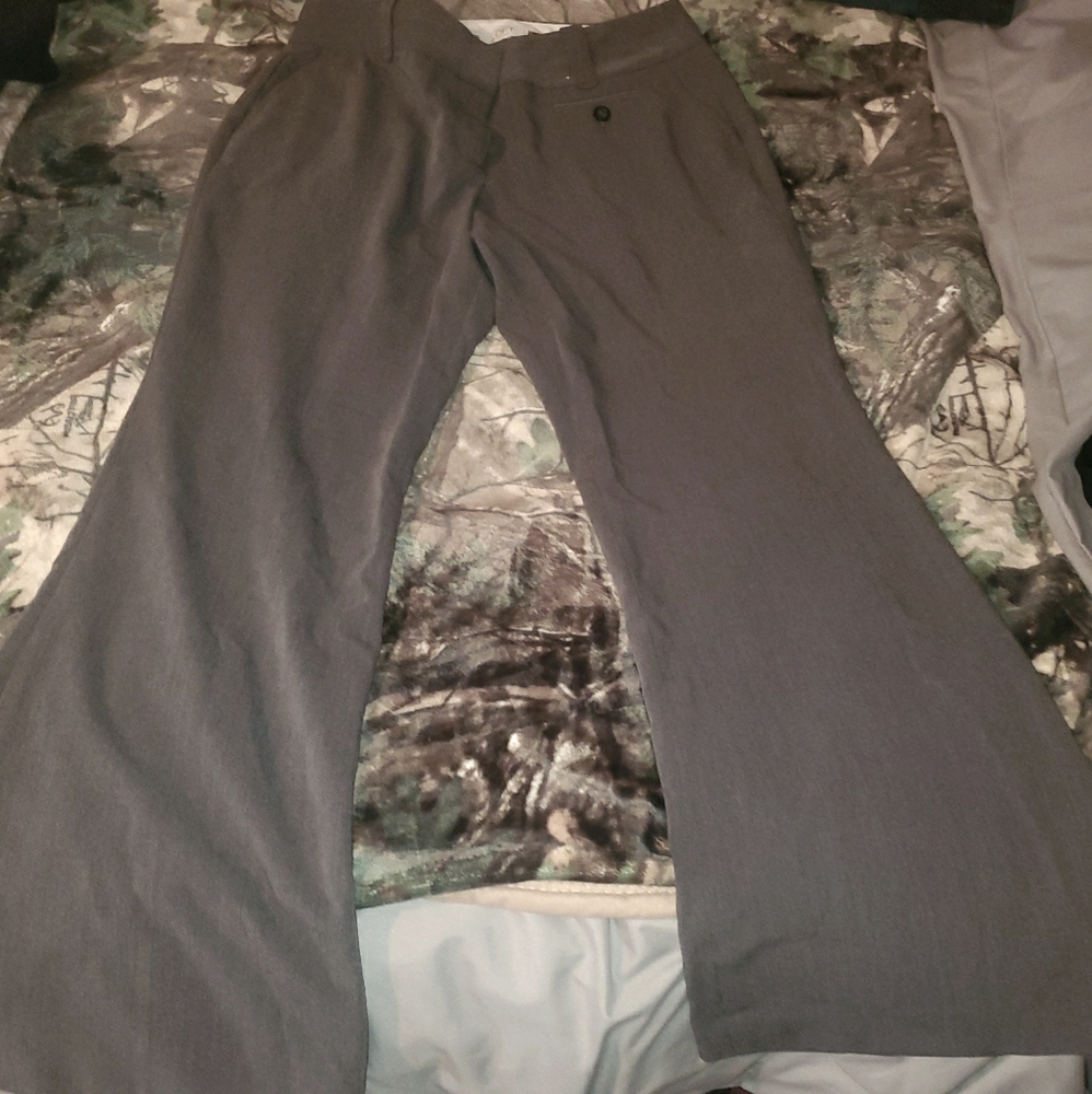 Dress pants